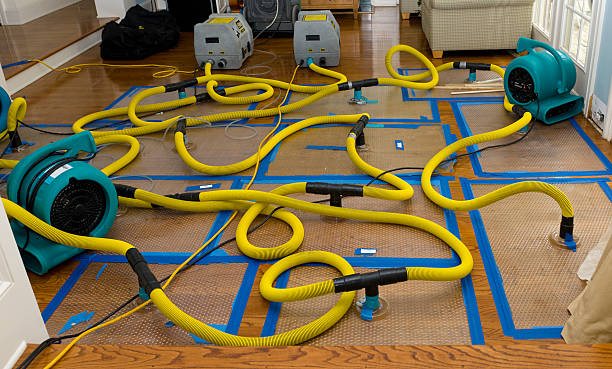 Professional Crawl Space Water Removal technician working in Clarkston, UT